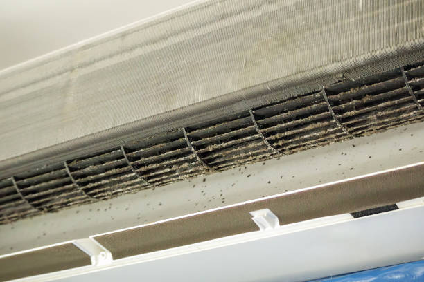 Best Affordable Air Duct Cleaning  in Rosebud, SD